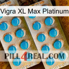 Vigra Xl Max Platinum new08